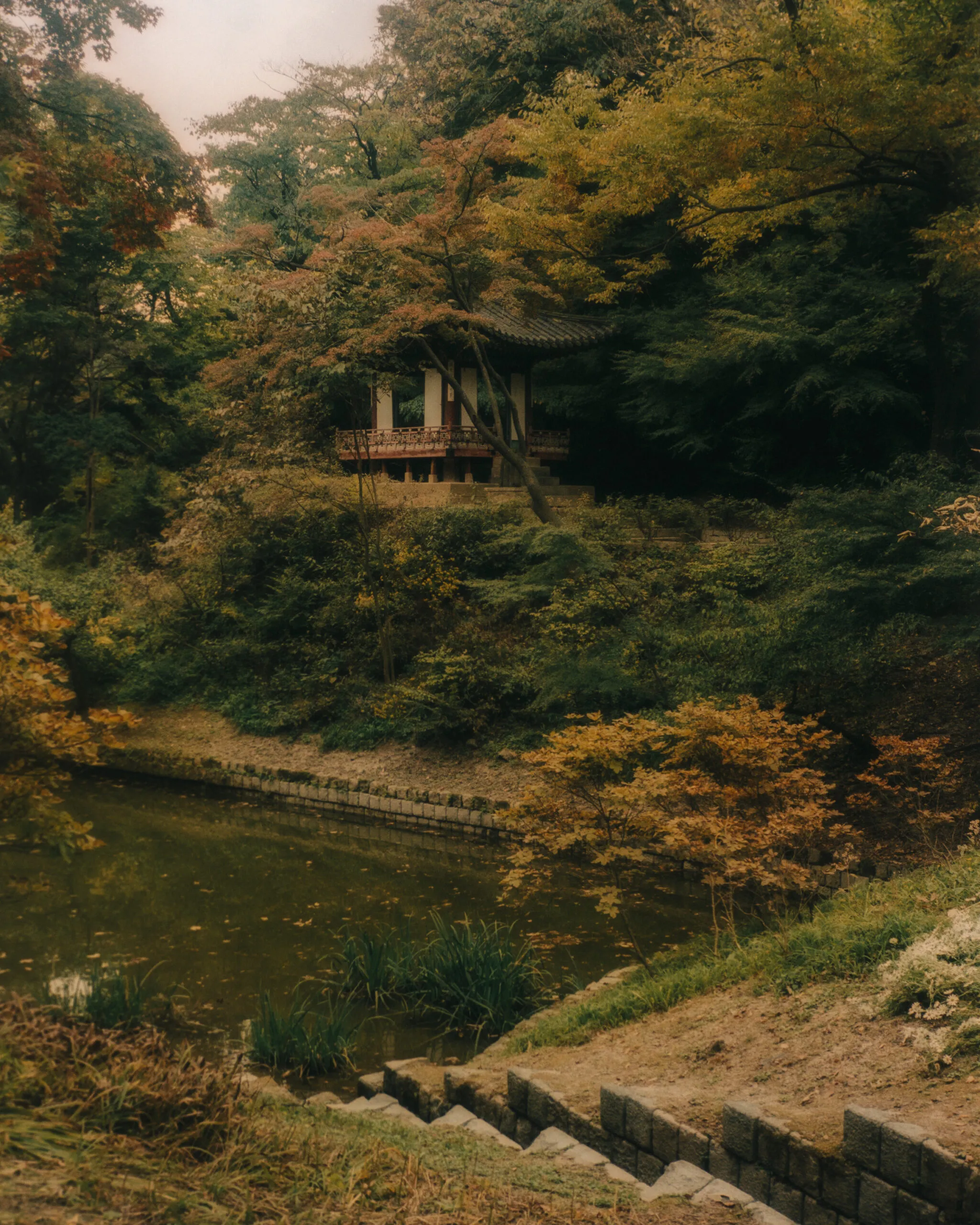 Changdeokgung Secret Garden – Seoul, South Korea by Filip Gielda-23