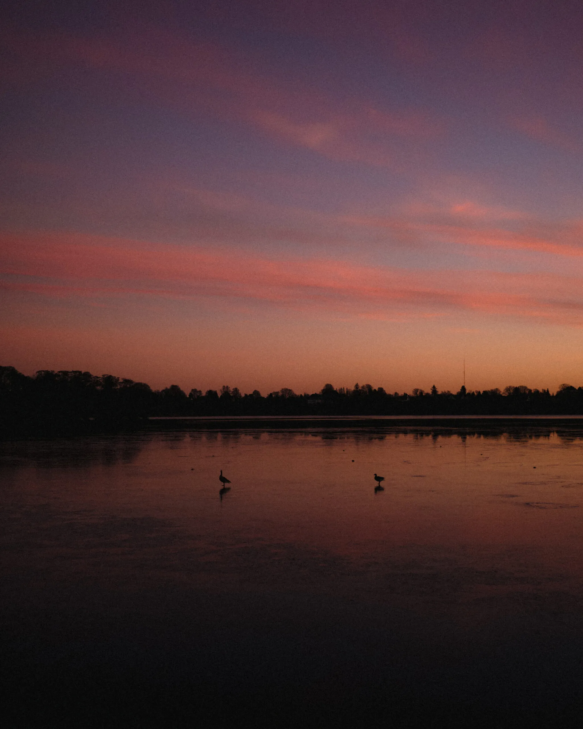 Sunset time at Sophienholm by Filip Gielda-36
