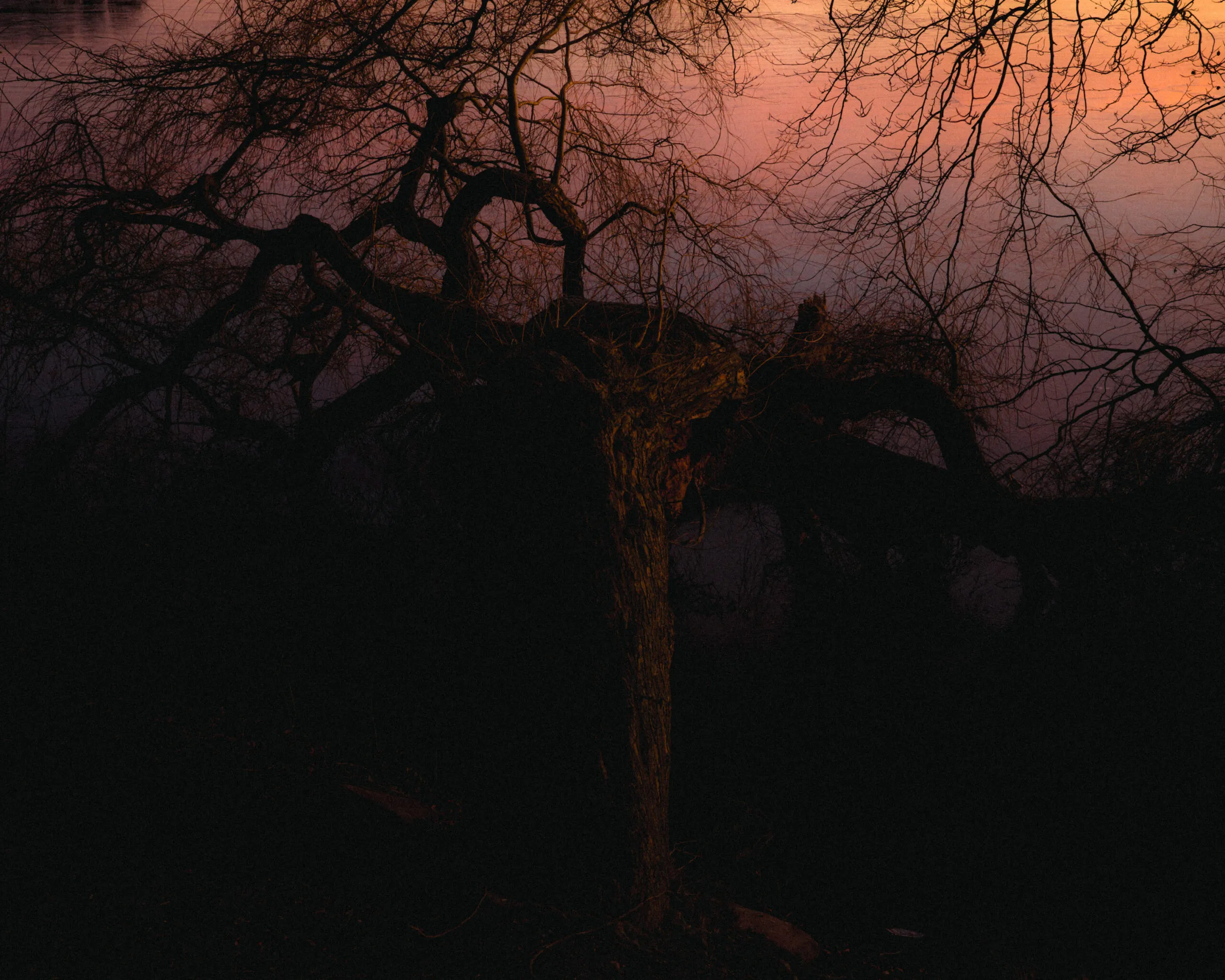 Sunset time at Sophienholm by Filip Gielda-39