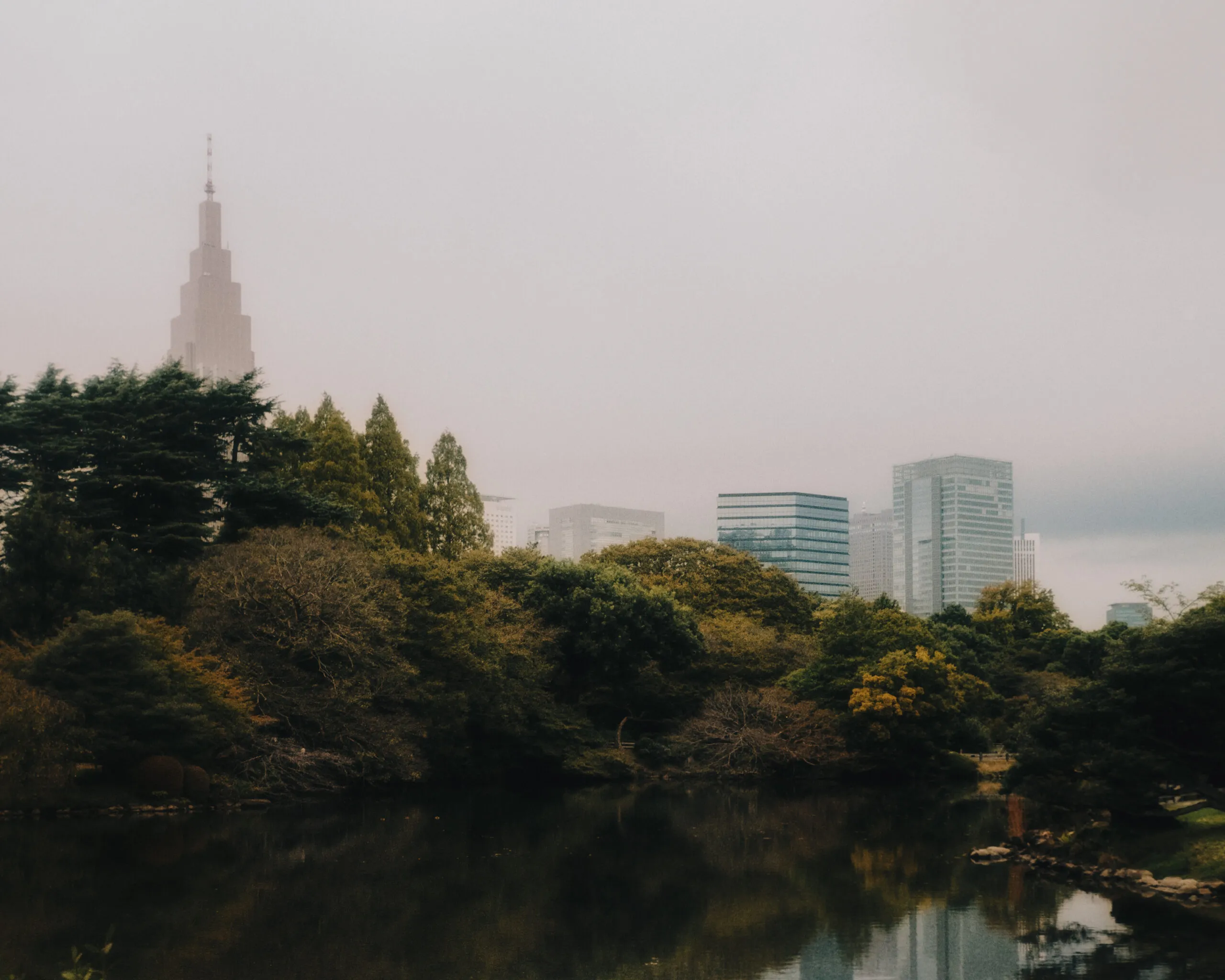 Shinjuku Gyoen on film