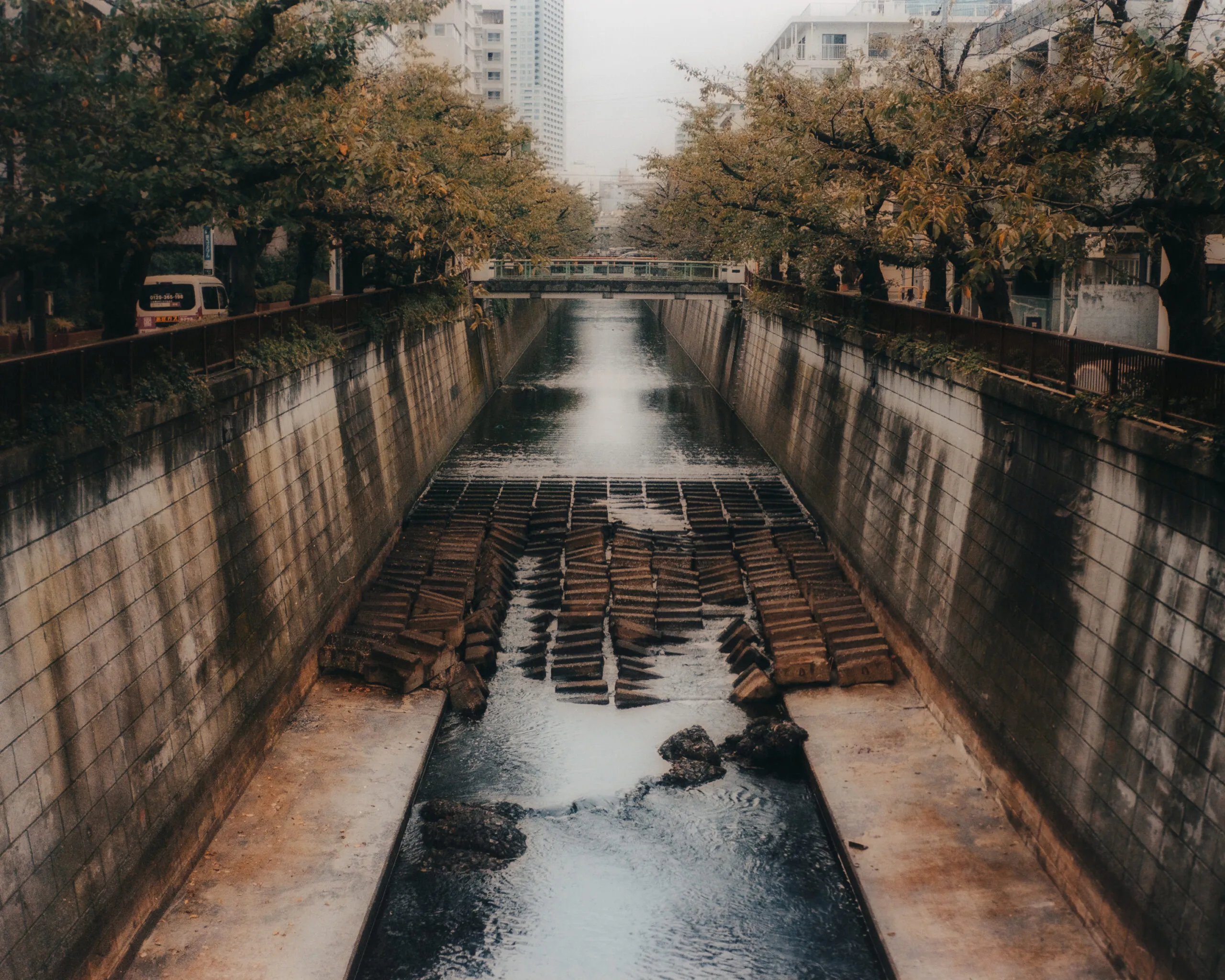Quiet reflections along the Meguro River