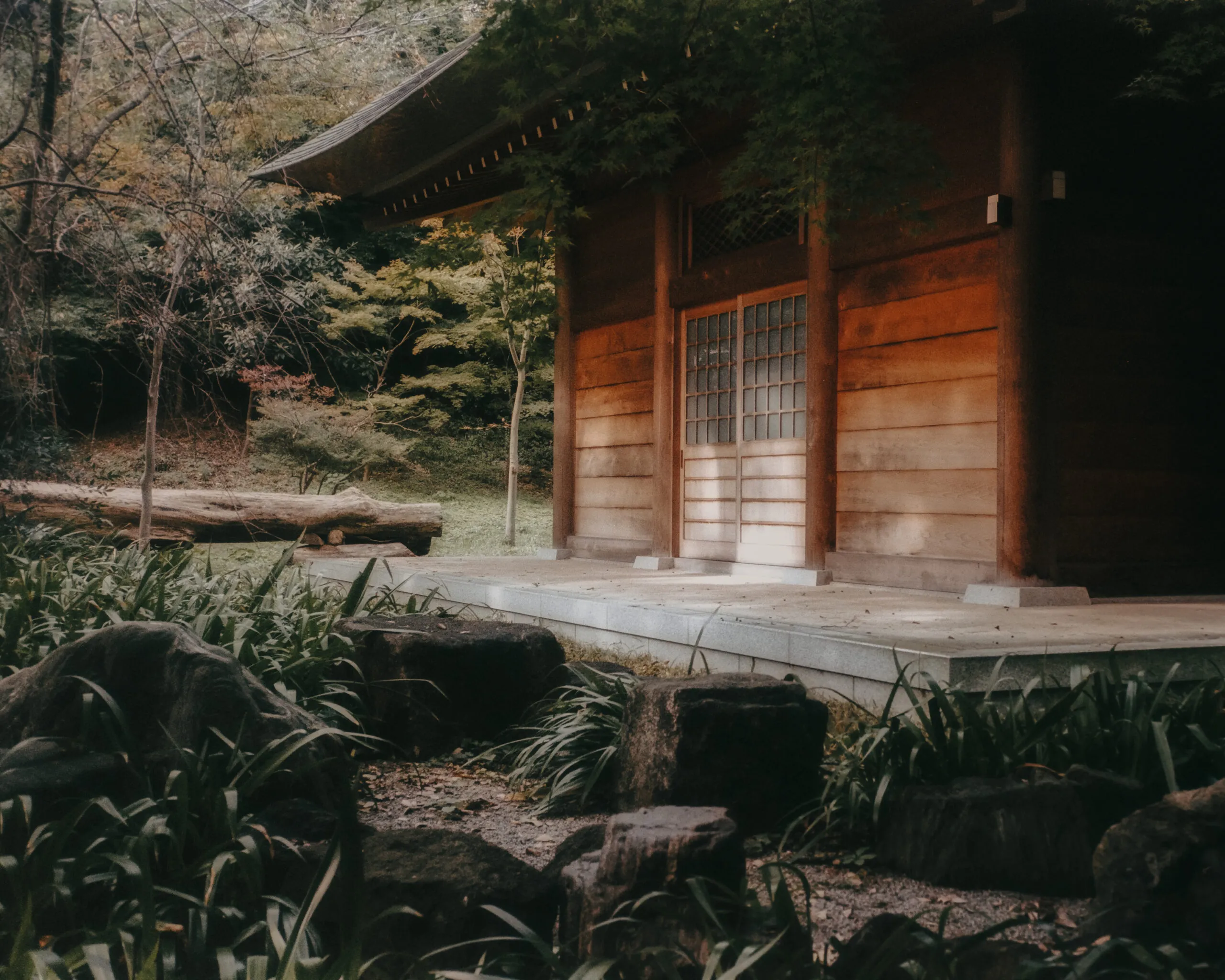 Tokyo, Japan by Filip Gielda-36