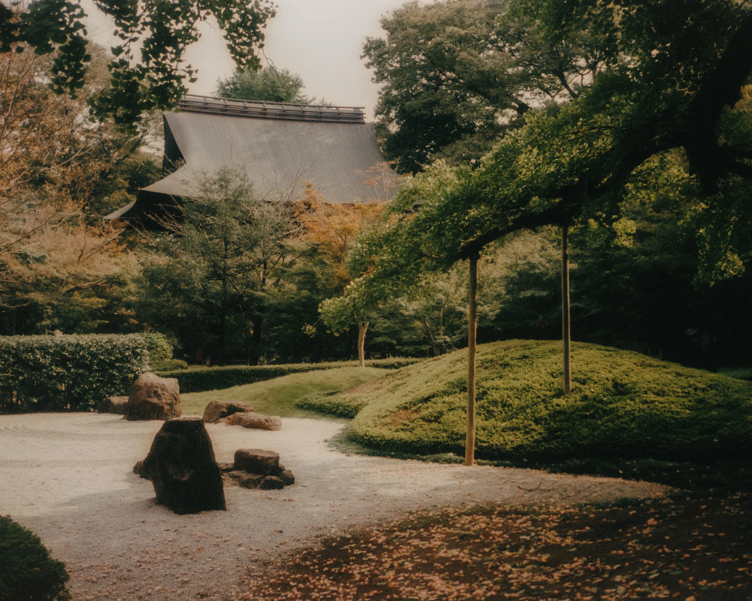 Tokyo on film