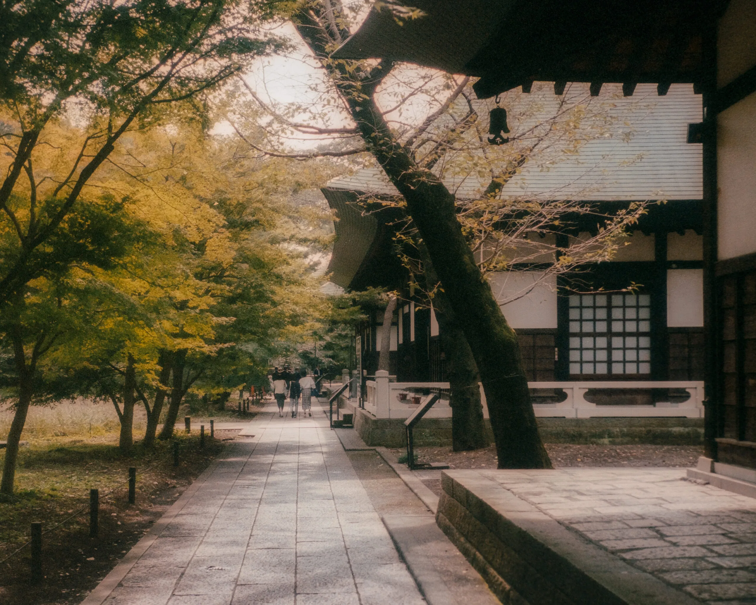 Tokyo on film