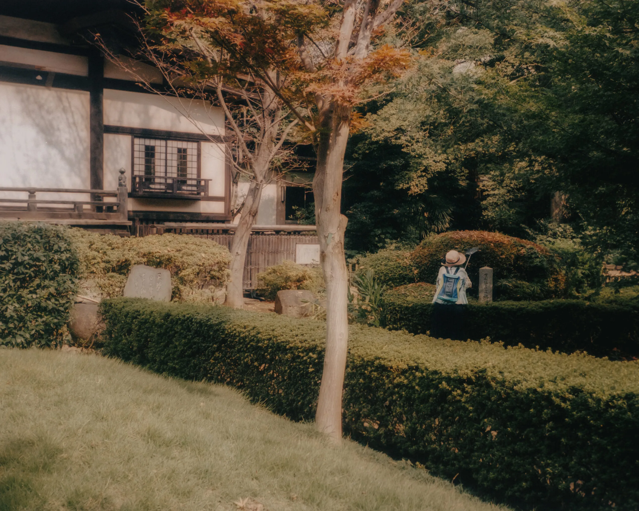 Tokyo on film