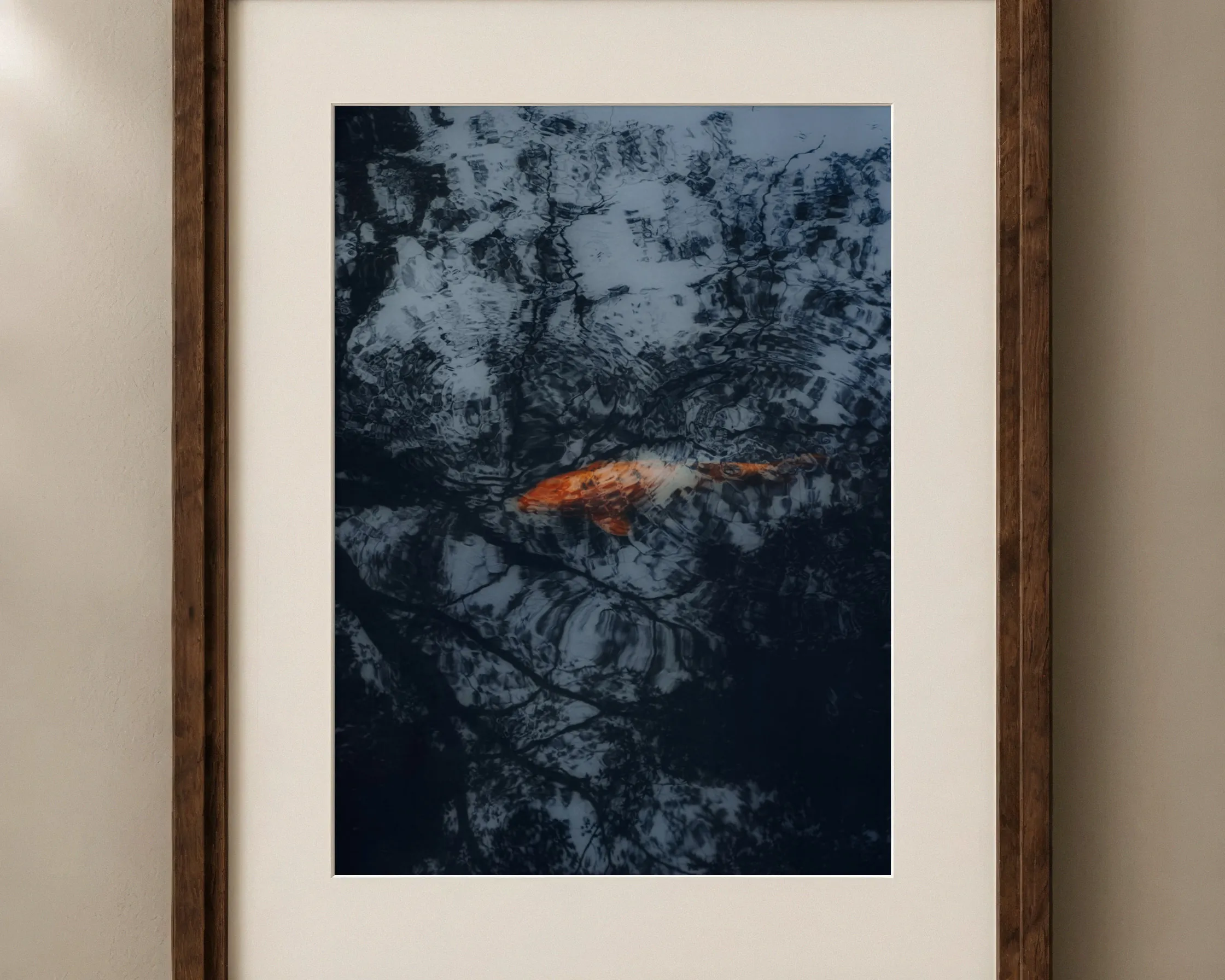 Koi, framed, view 2