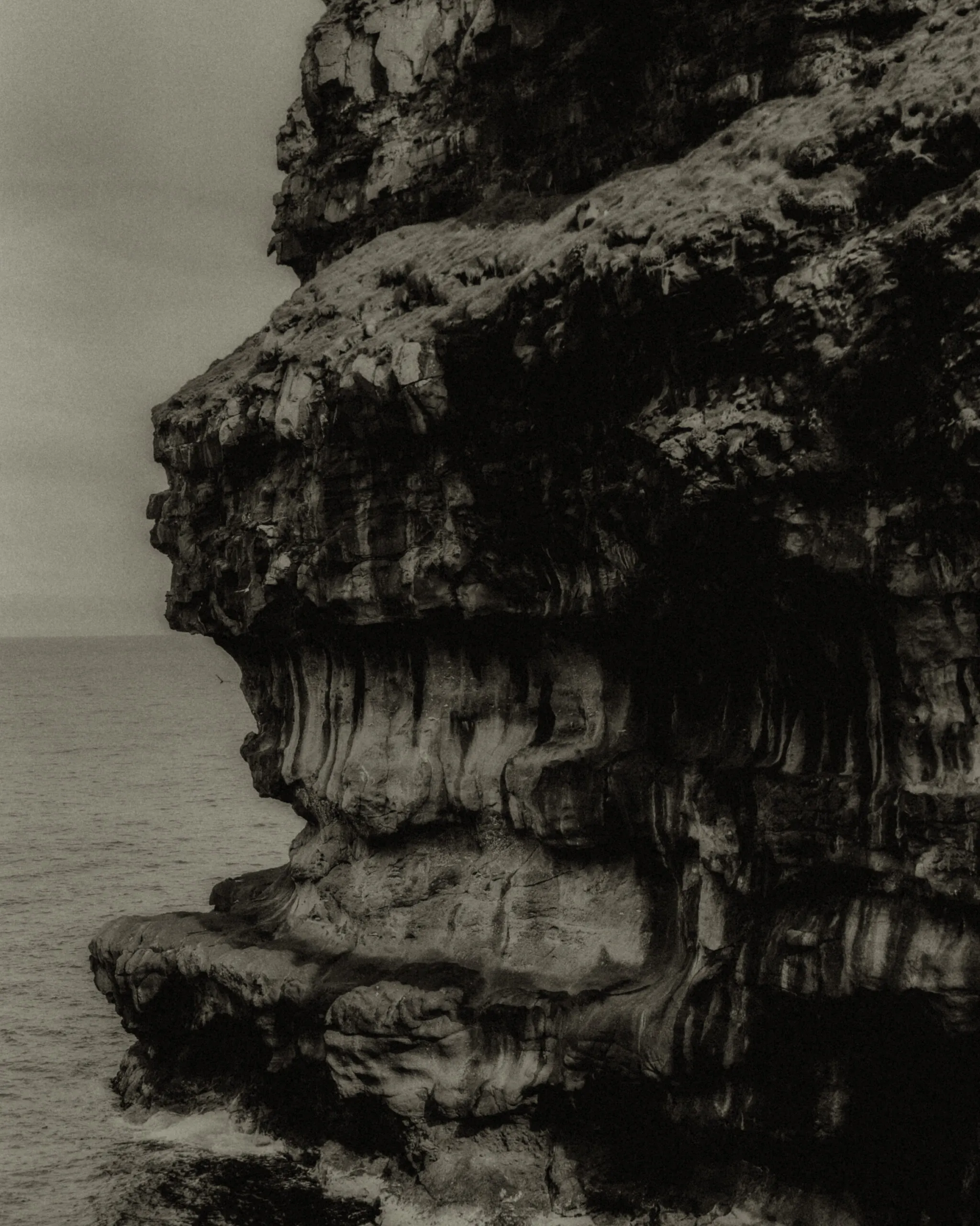 Layered sea cliff in overcast light