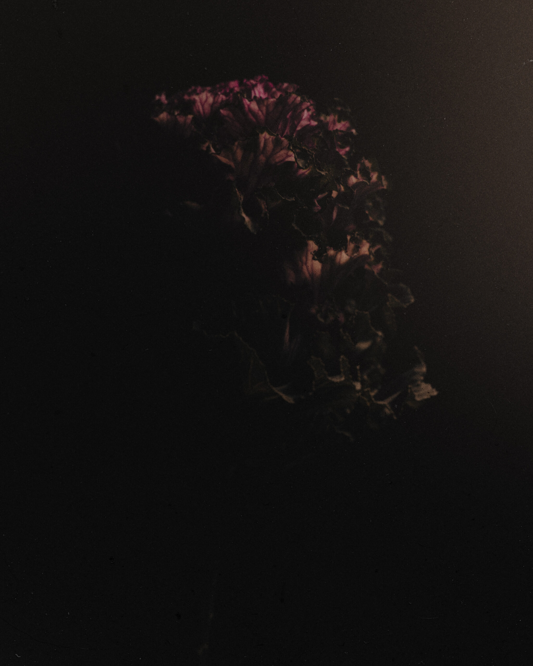 3am 3am