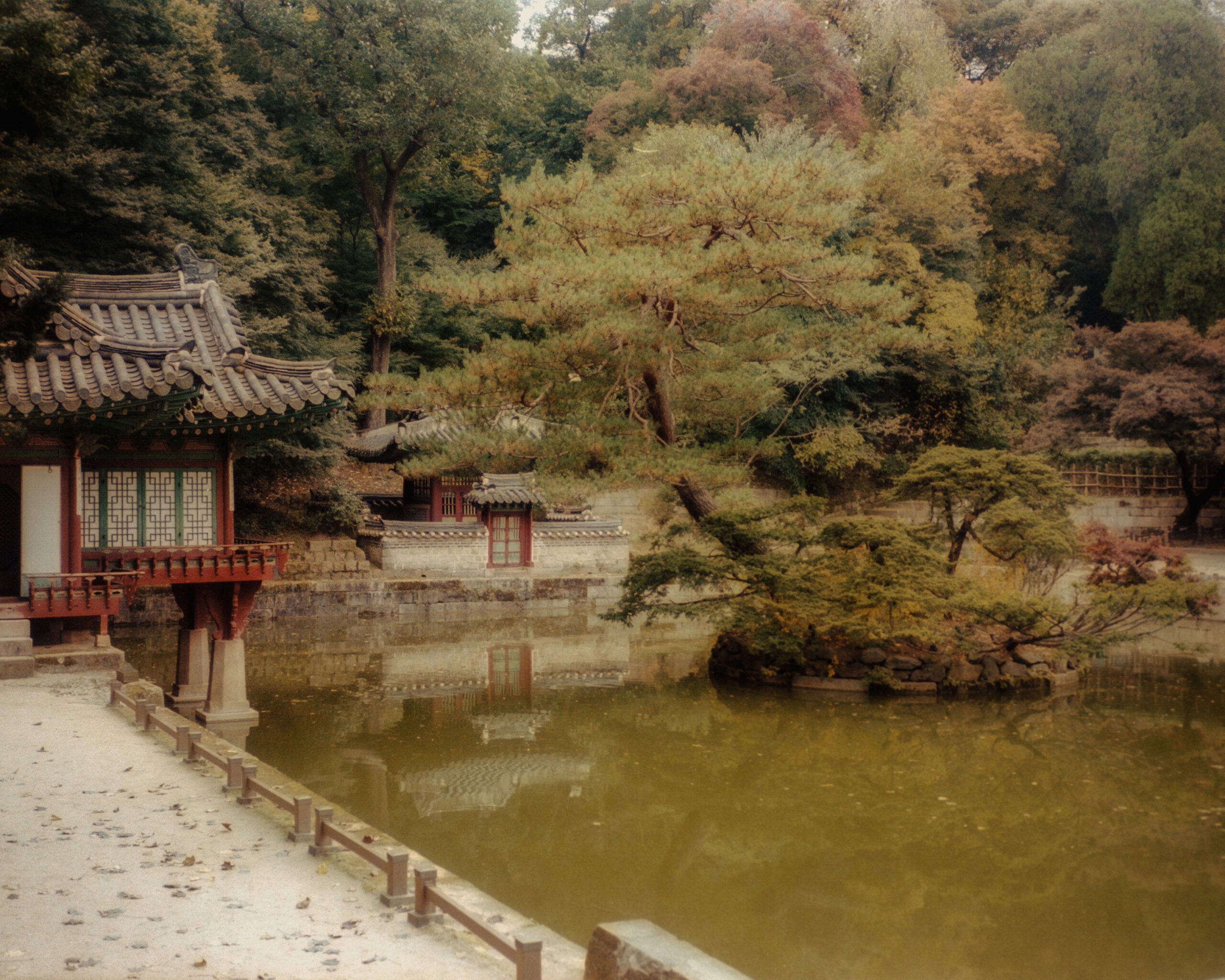 Changdeokgung Secret Garden - Seoul, South Korea by Filip Gielda