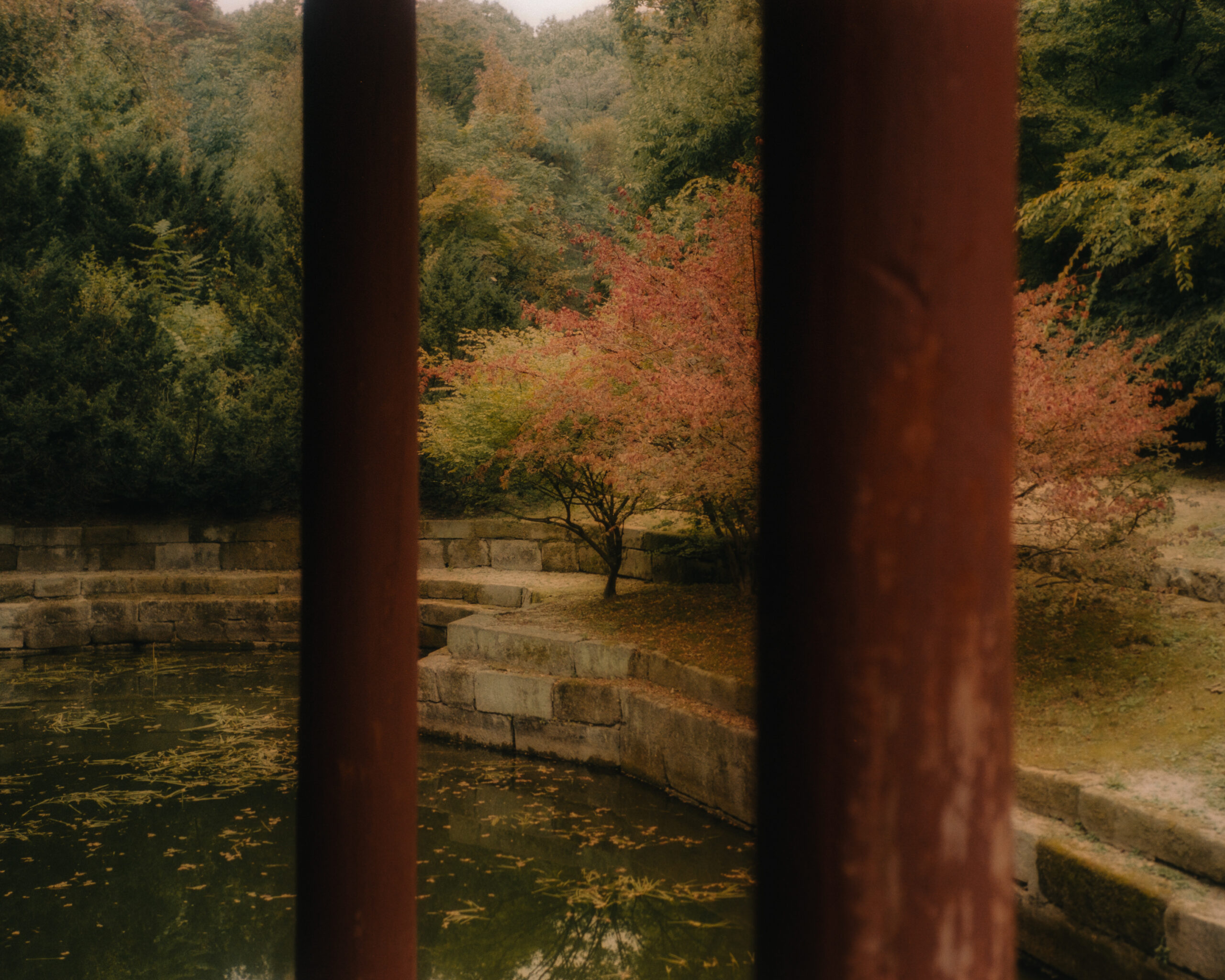 Changdeokgung Secret Garden - Seoul, South Korea by Filip Gielda