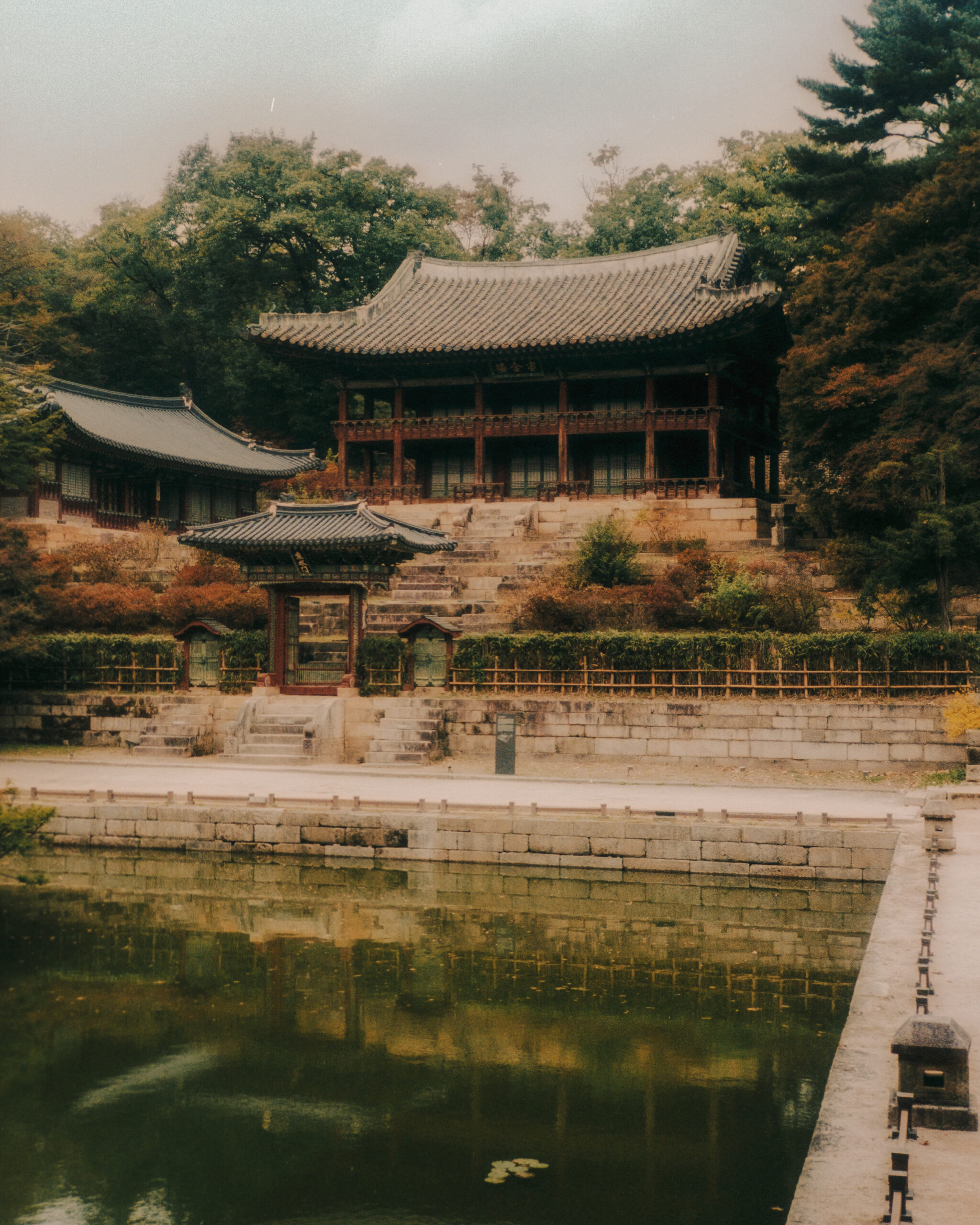 Changdeokgung Secret Garden - Seoul, South Korea by Filip Gielda
