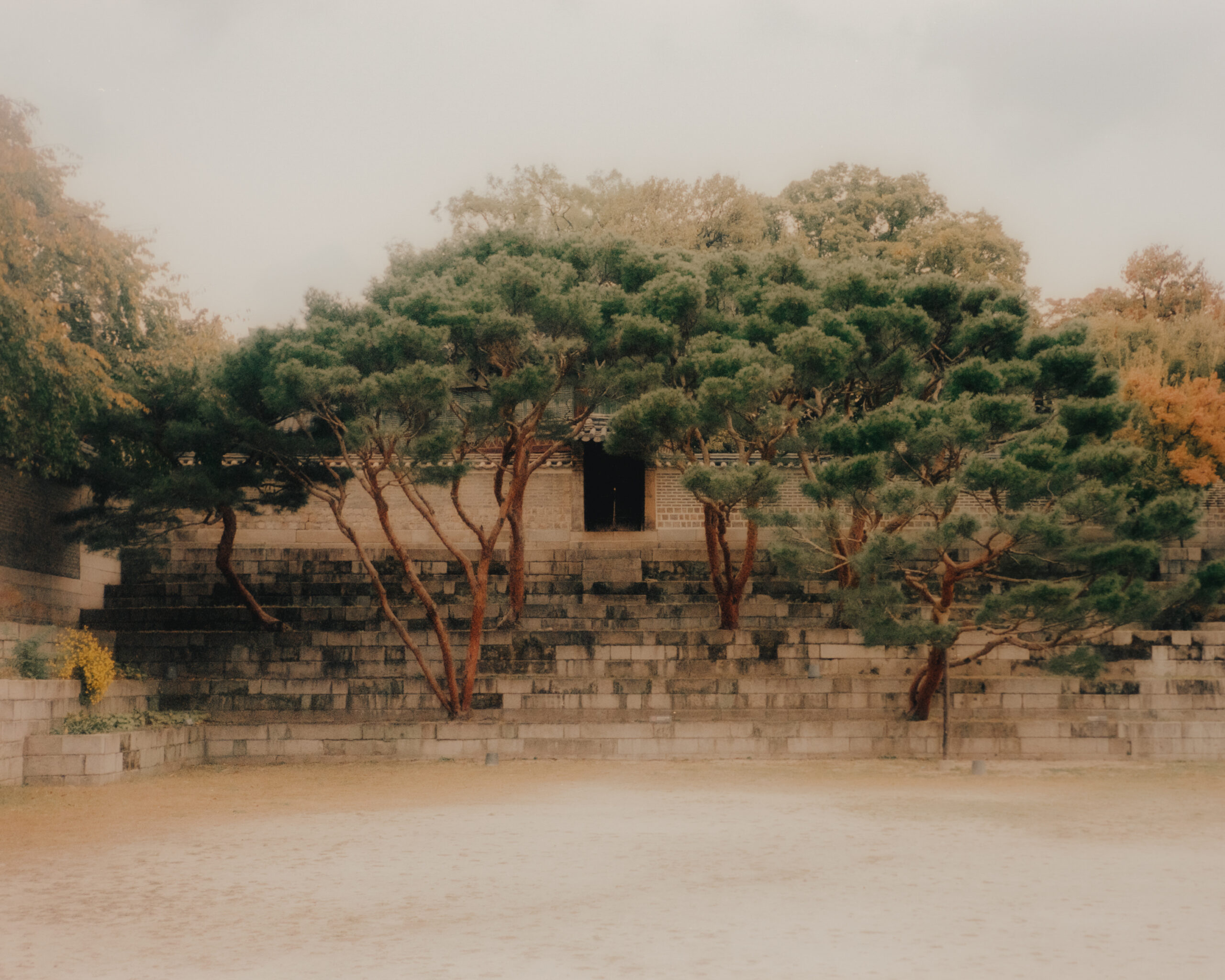 Changdeokgung - Seoul, South Korea by Filip Gielda