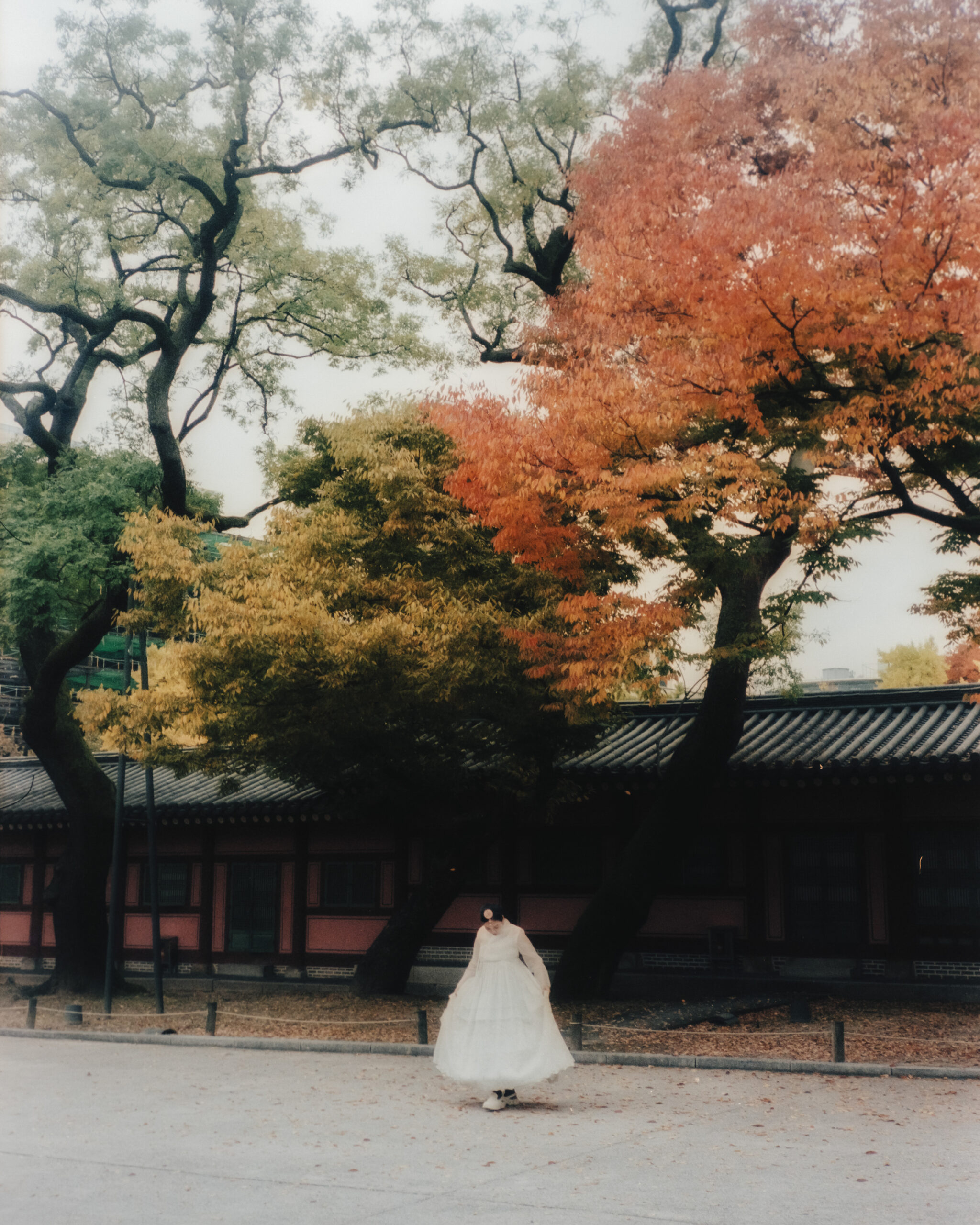 Changdeokgung – Seoul, South Korea by Filip Gielda-55