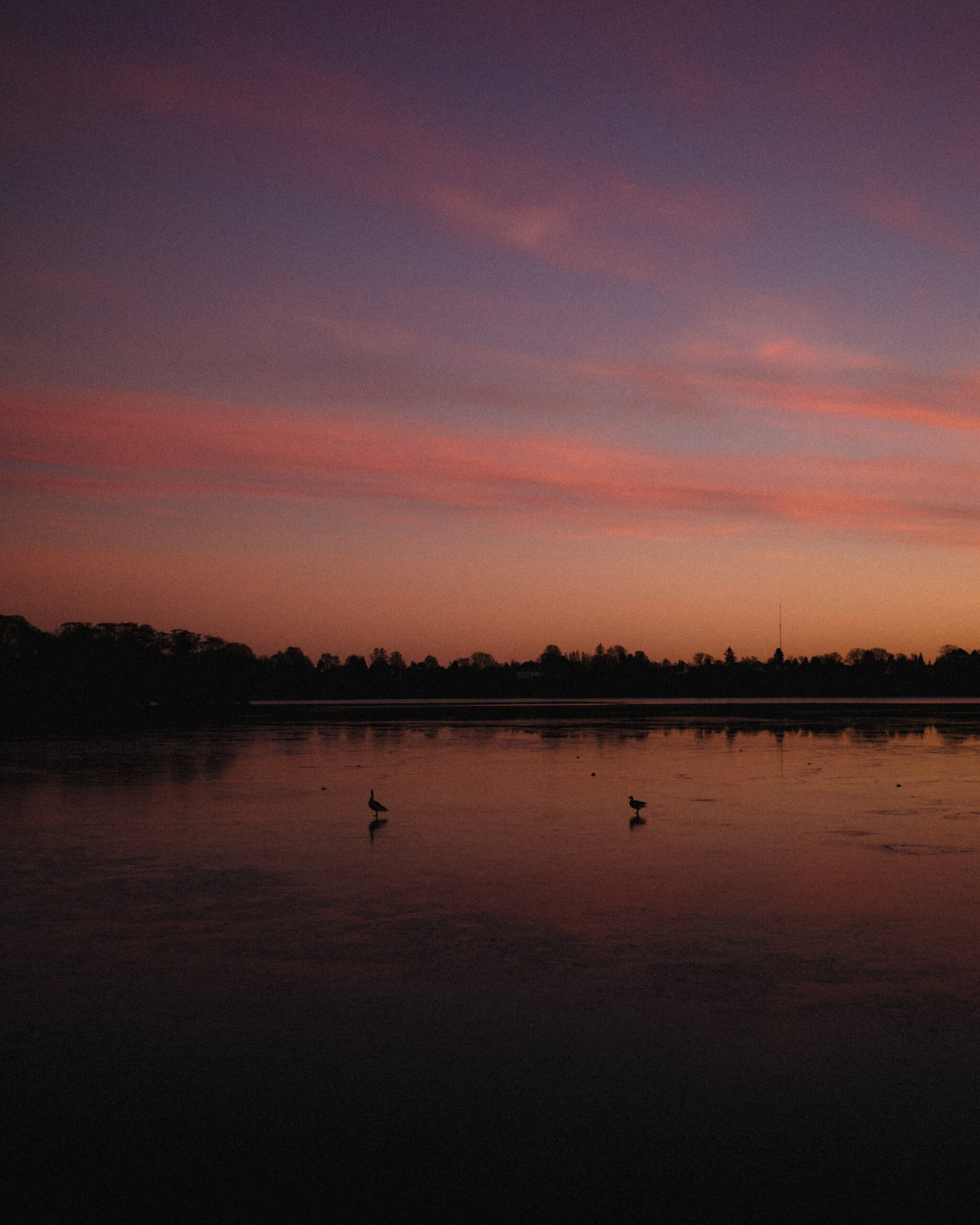 Sunset time at Sophienholm in Bagsværd, Denmark by Filip Gielda-36