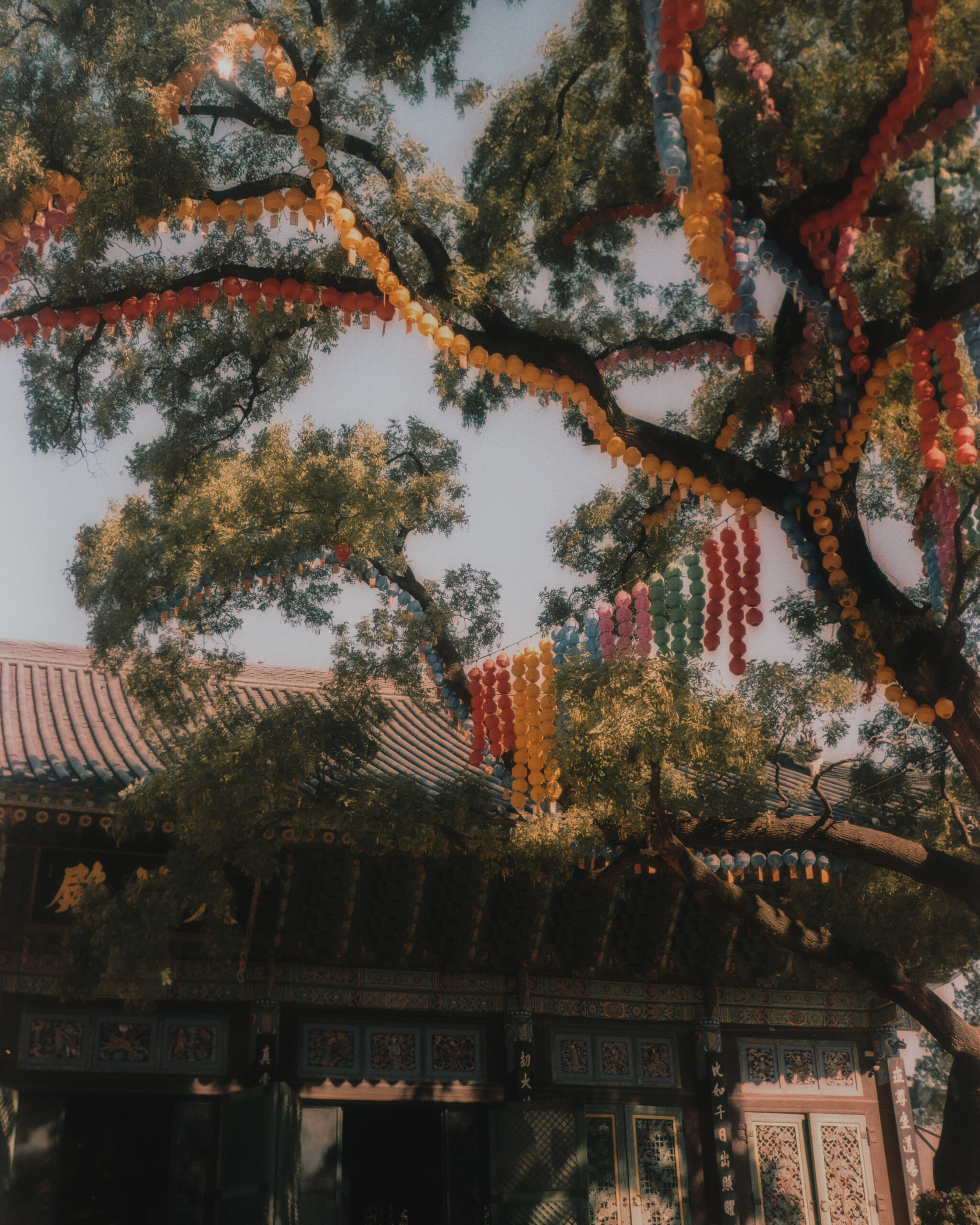 Temple in Seoul, South Korea by Filip Gielda