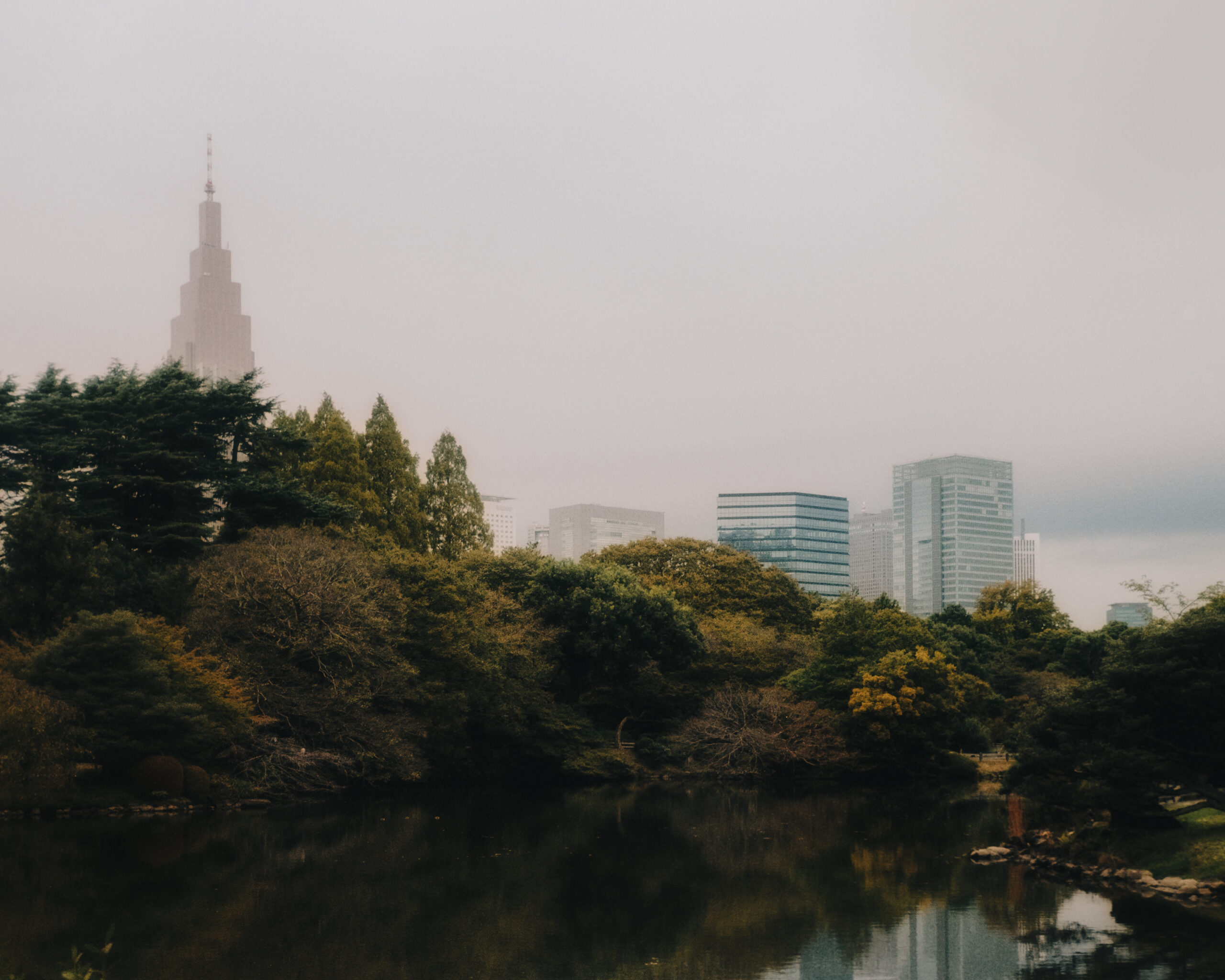 Tokyo, Japan by Filip Gielda-03