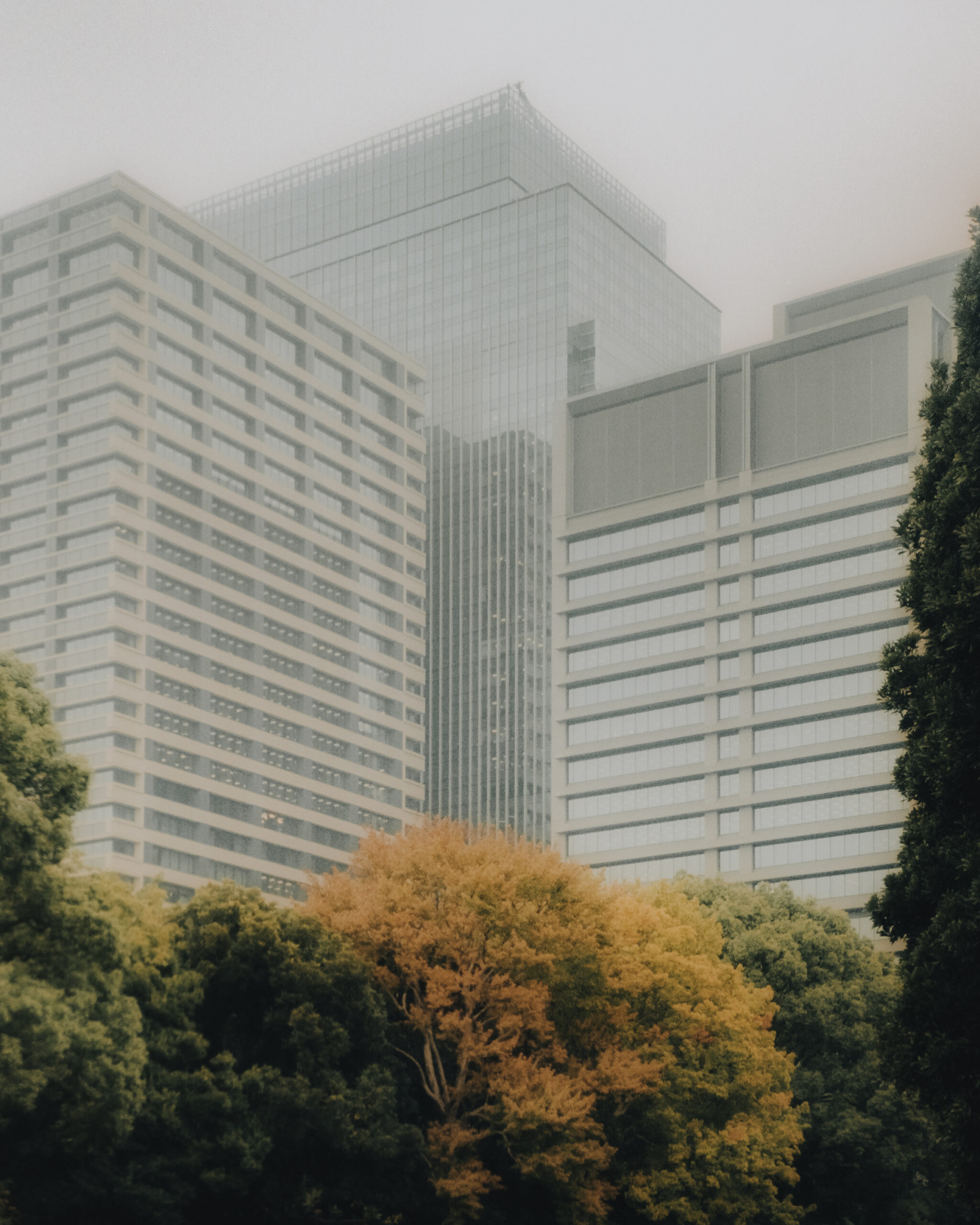 Tokyo, Japan by Filip Gielda-13 Tokyo, Japan by Filip Gielda-13