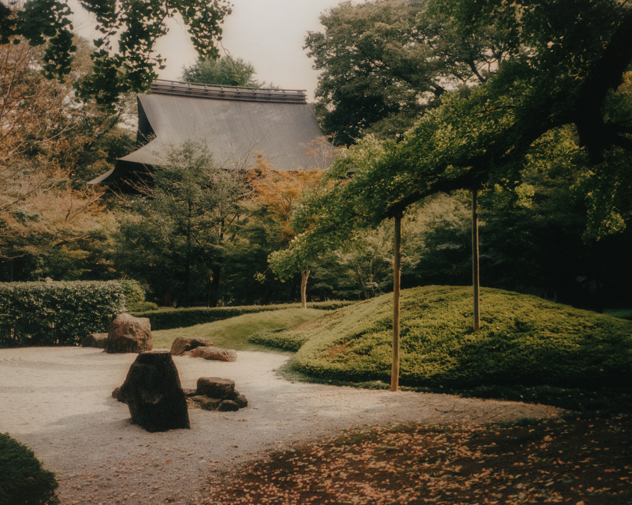 Tokyo, Japan by Filip Gielda-38 Tokyo, Japan by Filip Gielda-38
