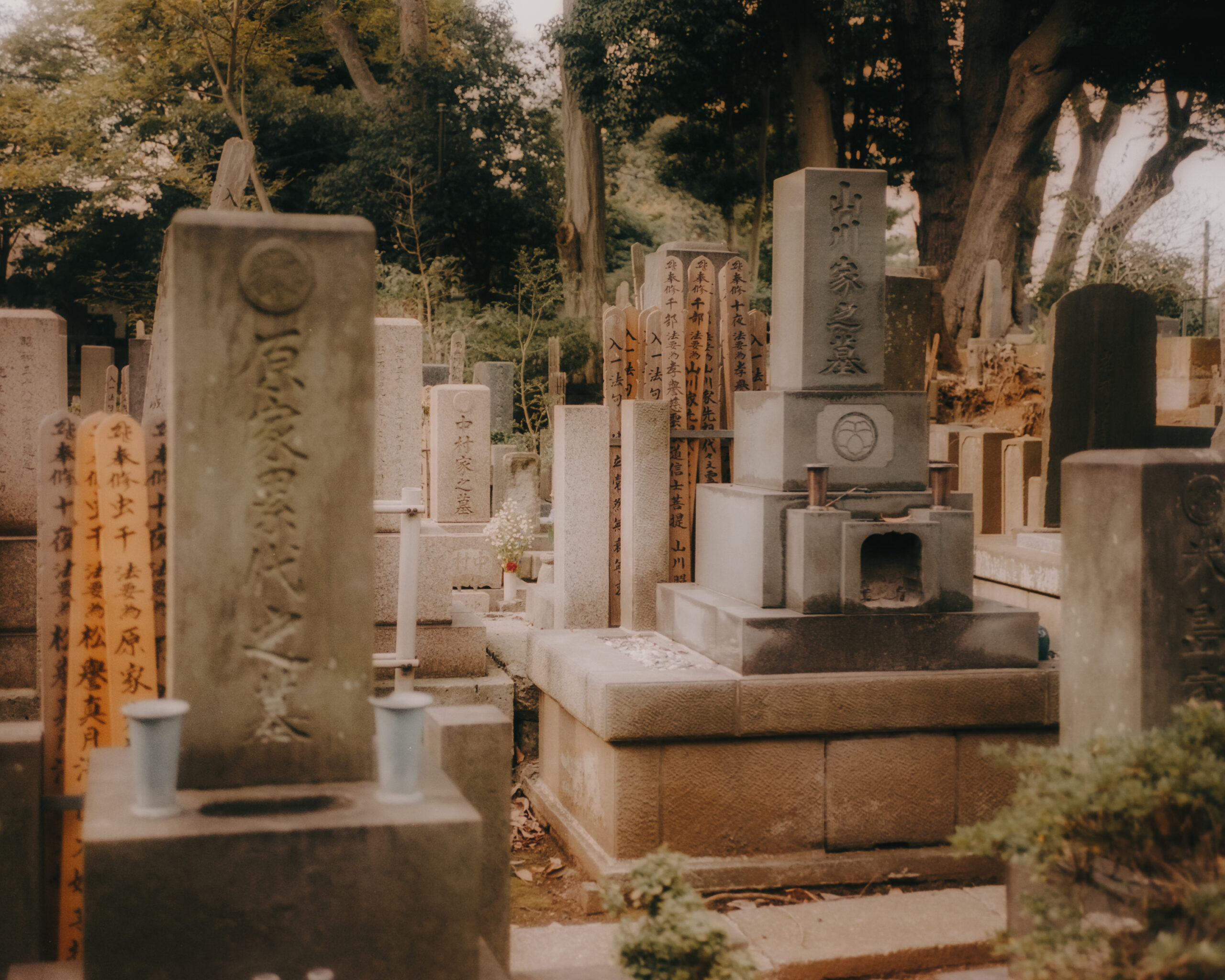 Tokyo, Japan by Filip Gielda-40